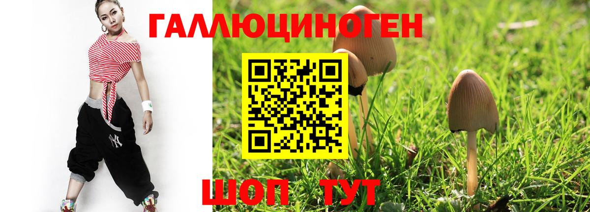 Галлюциногенные грибы GOLDEN TEACHER  цены наркотик  Ишим  Вход с VPN 