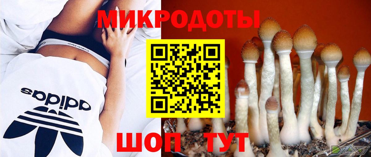 Галлюциногенные грибы GOLDEN TEACHER Ишим